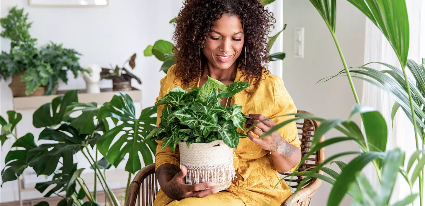 Jungle Ambiente - Frau im Wohnzimmer hält Pflanze