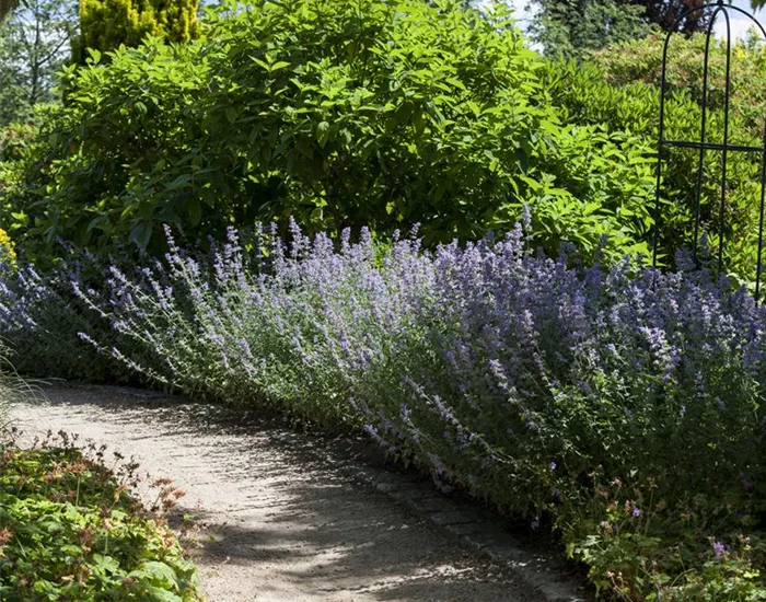 Sie sind bewegend! Wege, die durch den Garten führen.