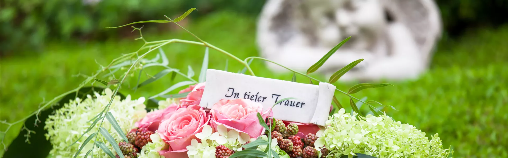 GS501996.jpg GS501996.jpg