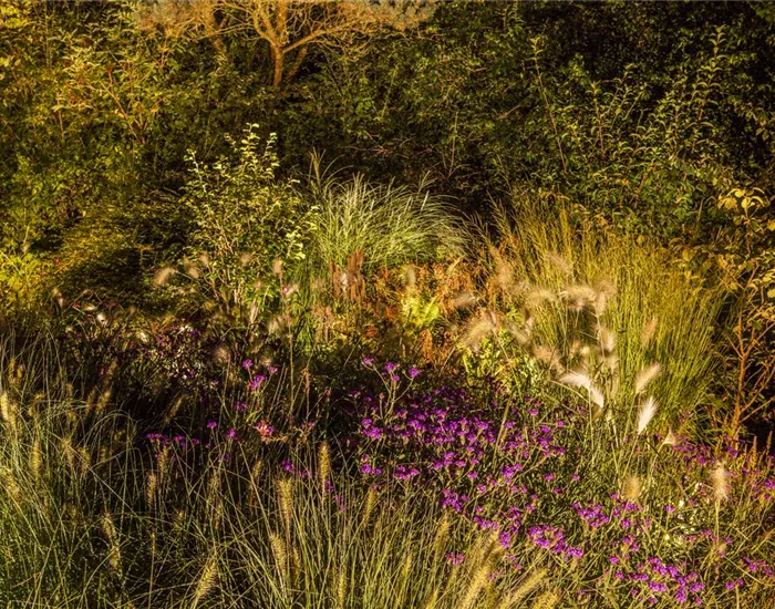 Lichtquellen machen den Garten schöner!