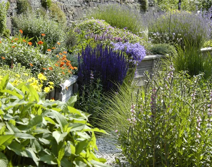 Staudenzeit im Bauerngarten