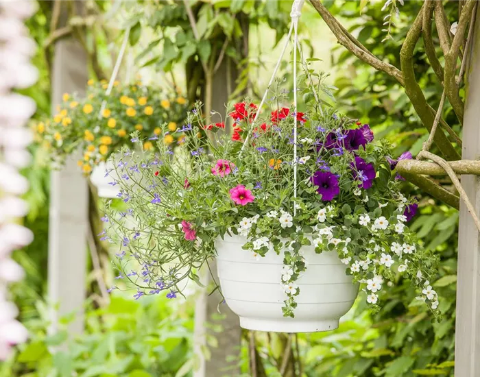 Urlaub auf Balkonien – Grüne Oasen auf dem Balkon