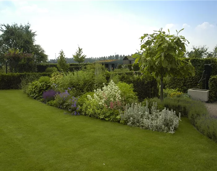 Wasser für den Rasen – Bewässerungssysteme und Tipps