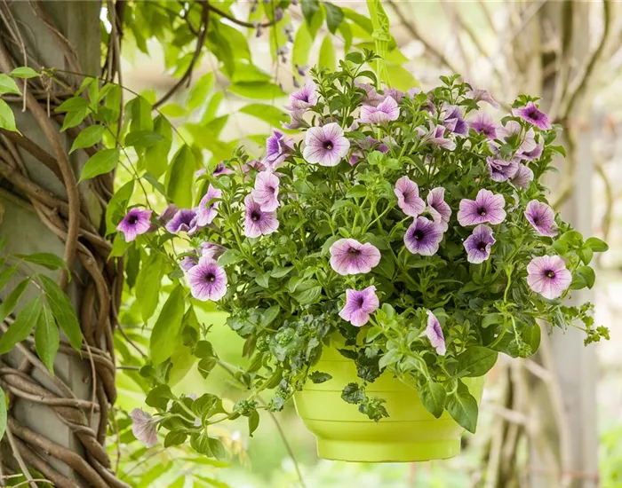 Urban Gardening trifft Upcycling – Blumenampeln aus einem Küchensieb