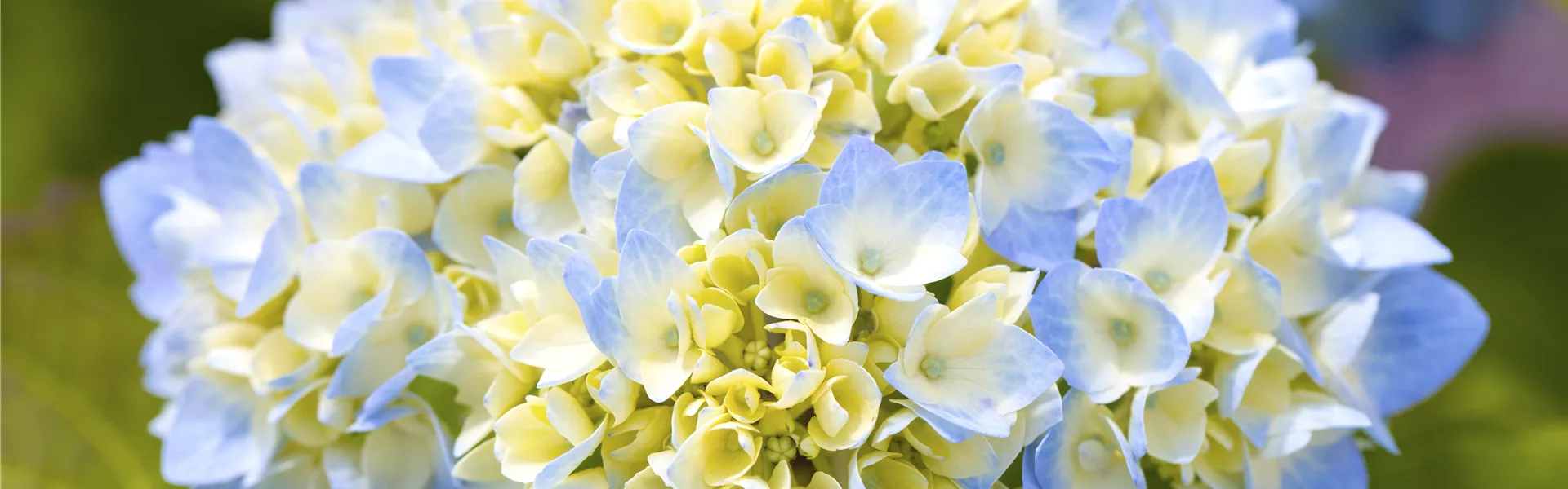 GS494382.jpg GS494382.jpg