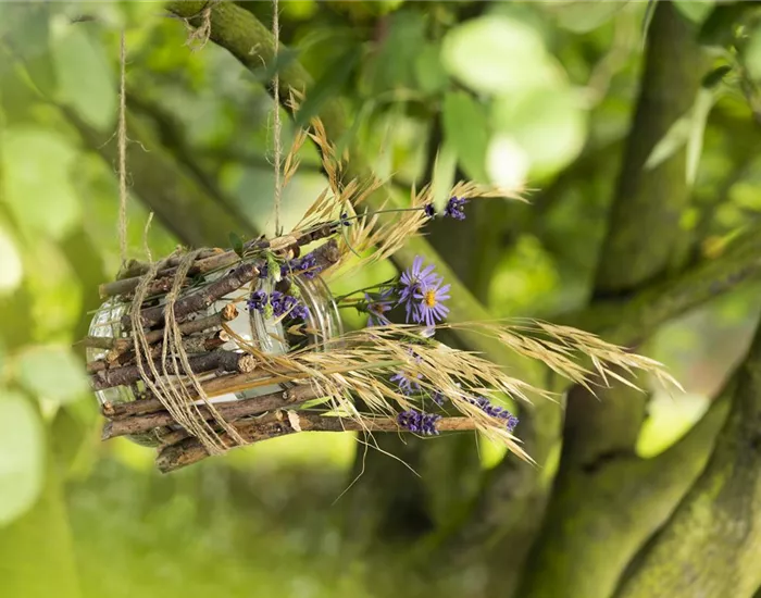 Ein Vogelhaus aus einem Weckglas - gläserner Futter-Stopp für Vögel