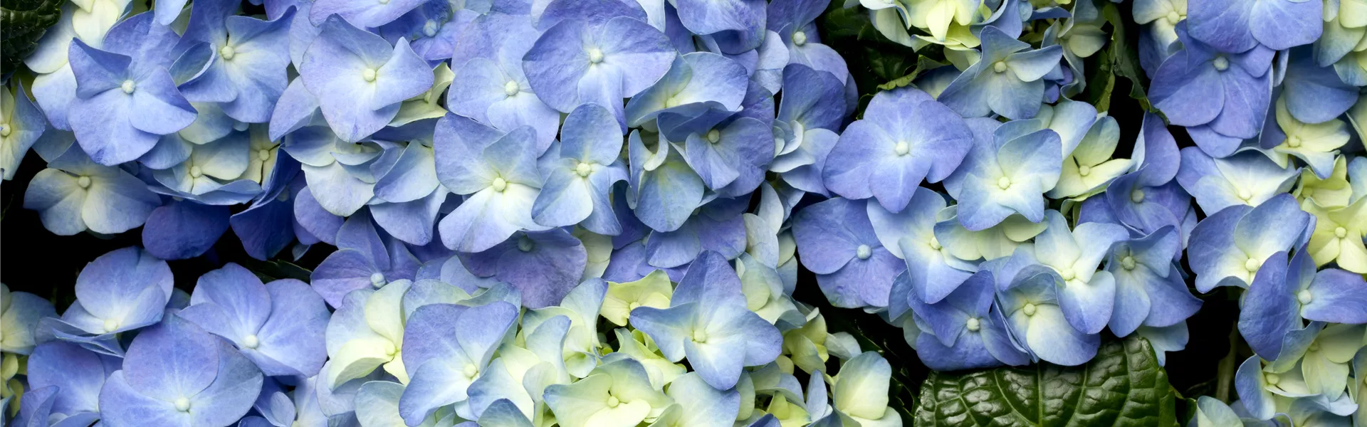 GS473017.jpg GS473017.jpg