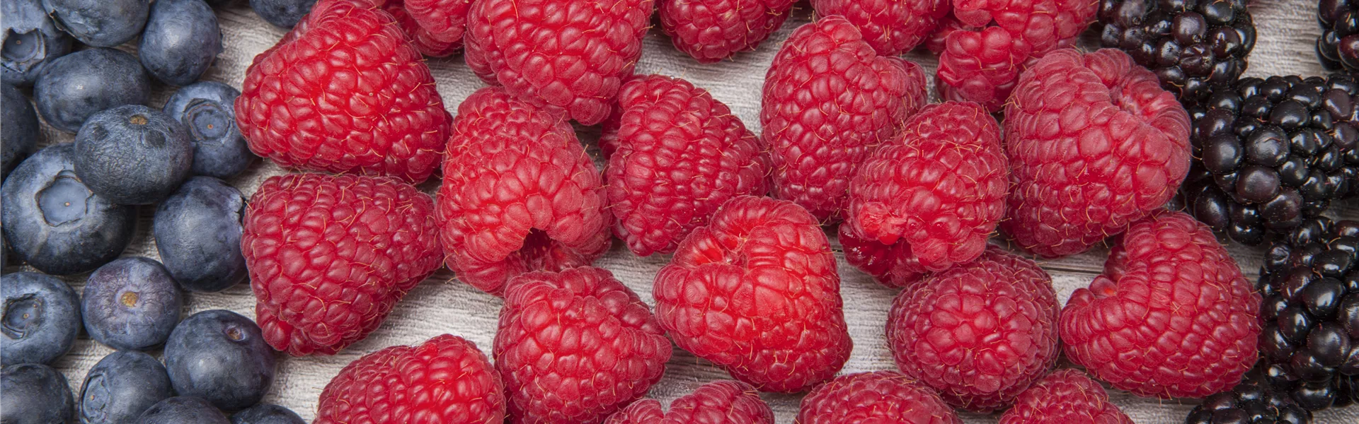 Rubus idaeus