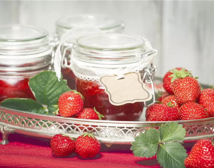 Vom Strauch auf den Frühstückstisch – nach der Ernte kommt der Genuss