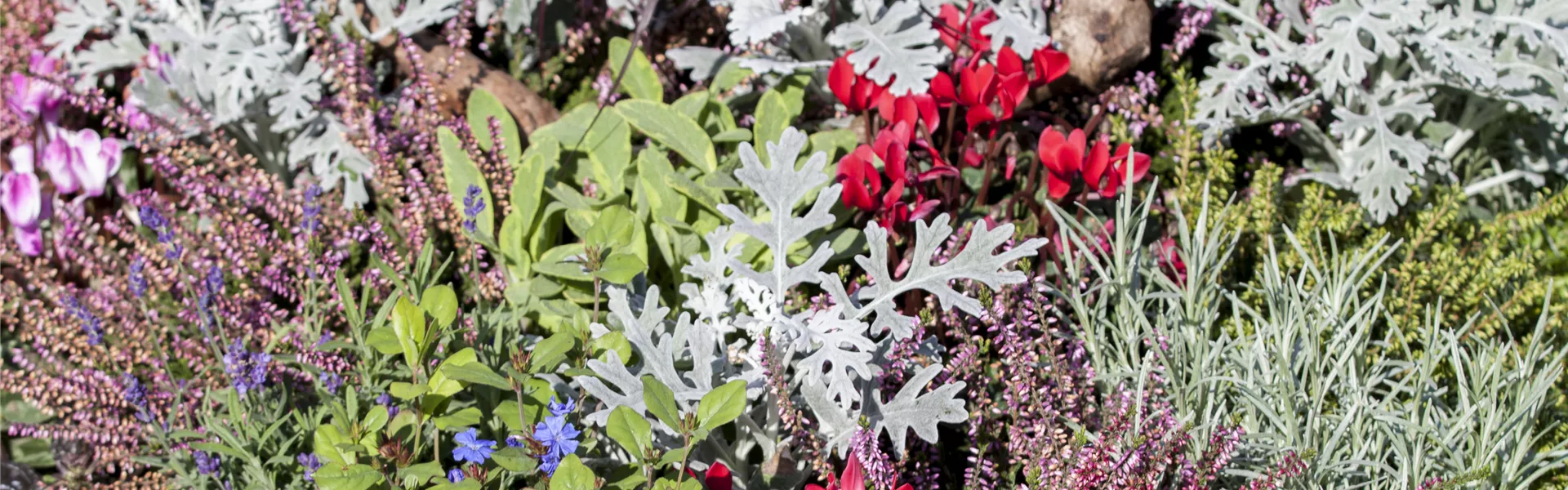 GS502946.jpg GS502946.jpg