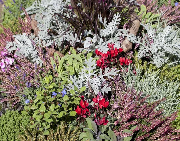 Die Grabpflege im Herbst Die Grabpflege im Herbst