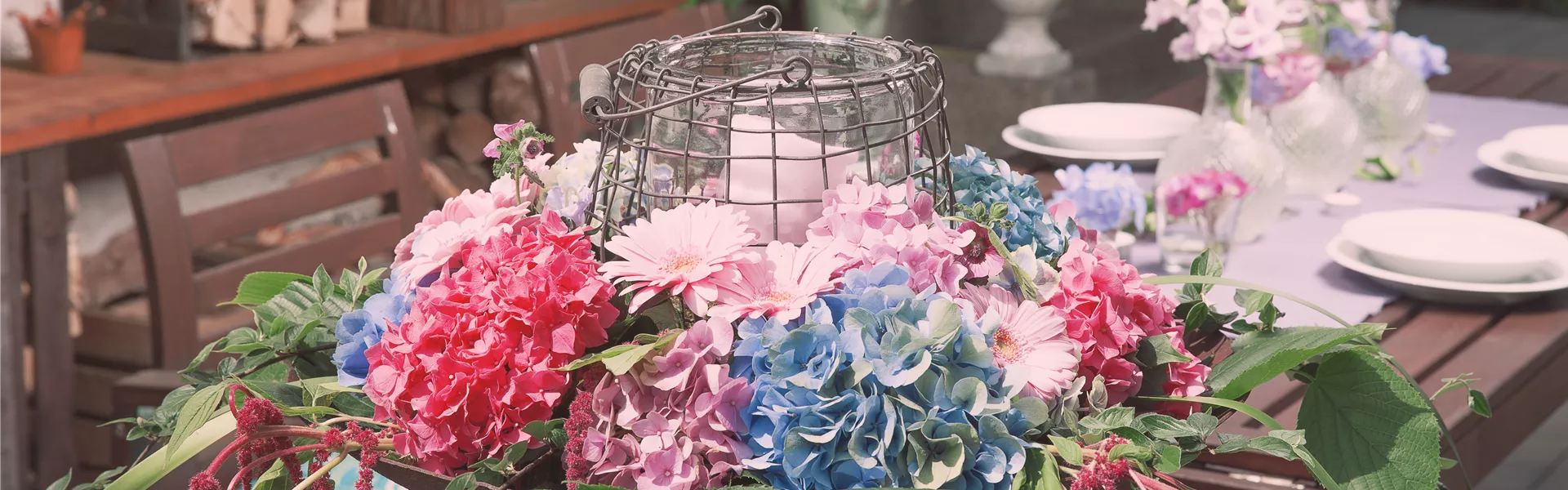 GS495370.jpg GS495370.jpg