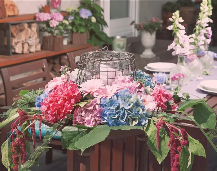 Blätter, Kräuter und Co. - die unterschätzten Bereicherungen Blätter, Kräuter und Co. - die unterschätzten Bereicherungen