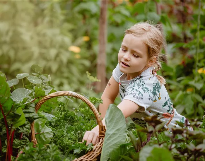 Jetzt kann geerntet werden! Kinder spielerisch einbeziehen