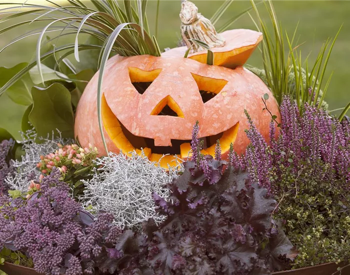 Lecker im Kochtopf oder horrormäßig als Totenkopf – mit dem Kürbis ist alles möglich!