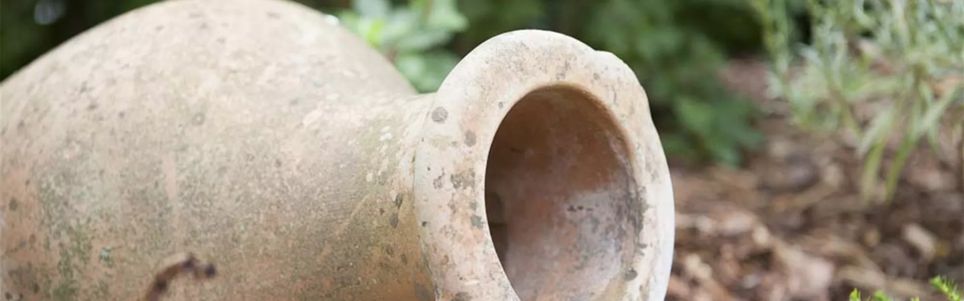 Gefäße im Garten