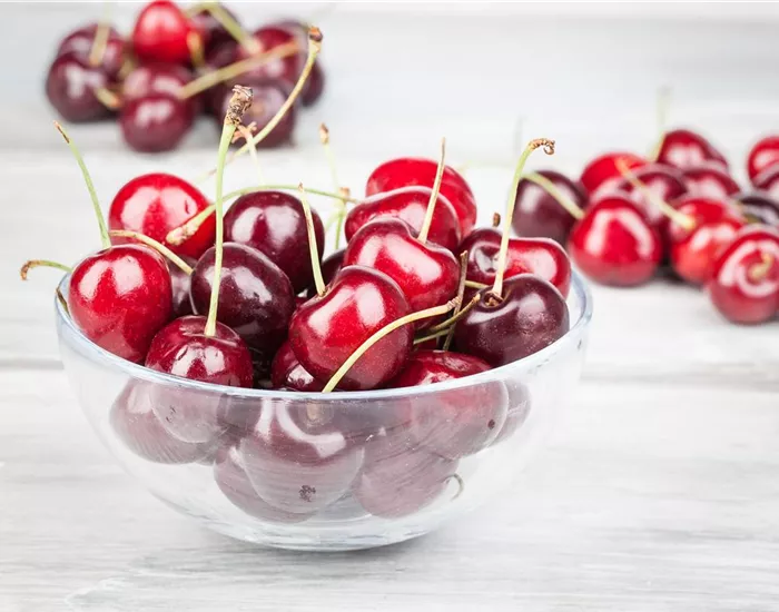 Die Früchte des Gartens gut verarbeiten