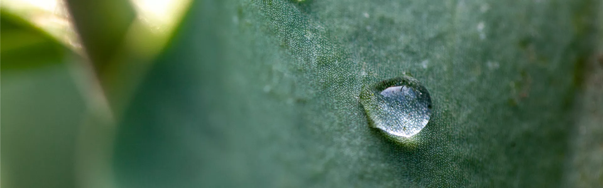 GS652614.jpg GS652614.jpg