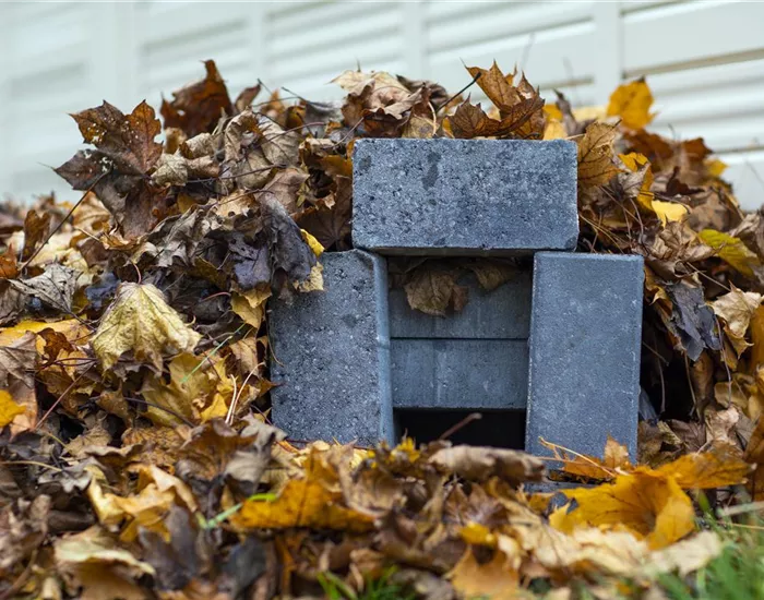 Das Igelhaus – Unterschlupf für stachelige Spürnasen