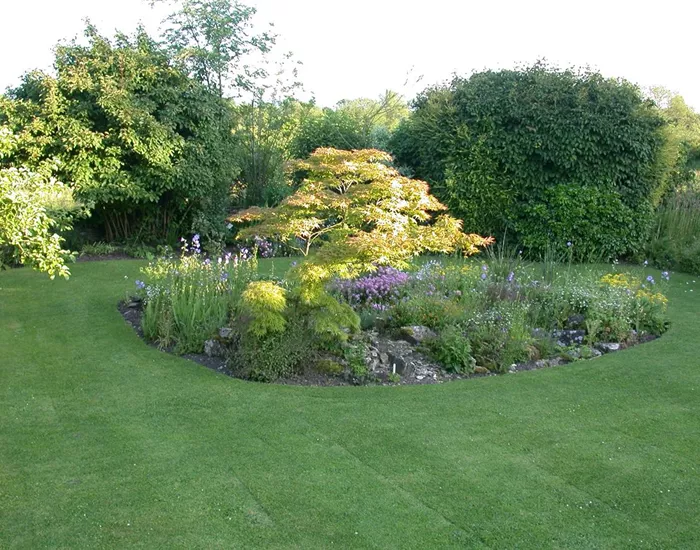 Der Rasen – grasgrün und rundum gesund