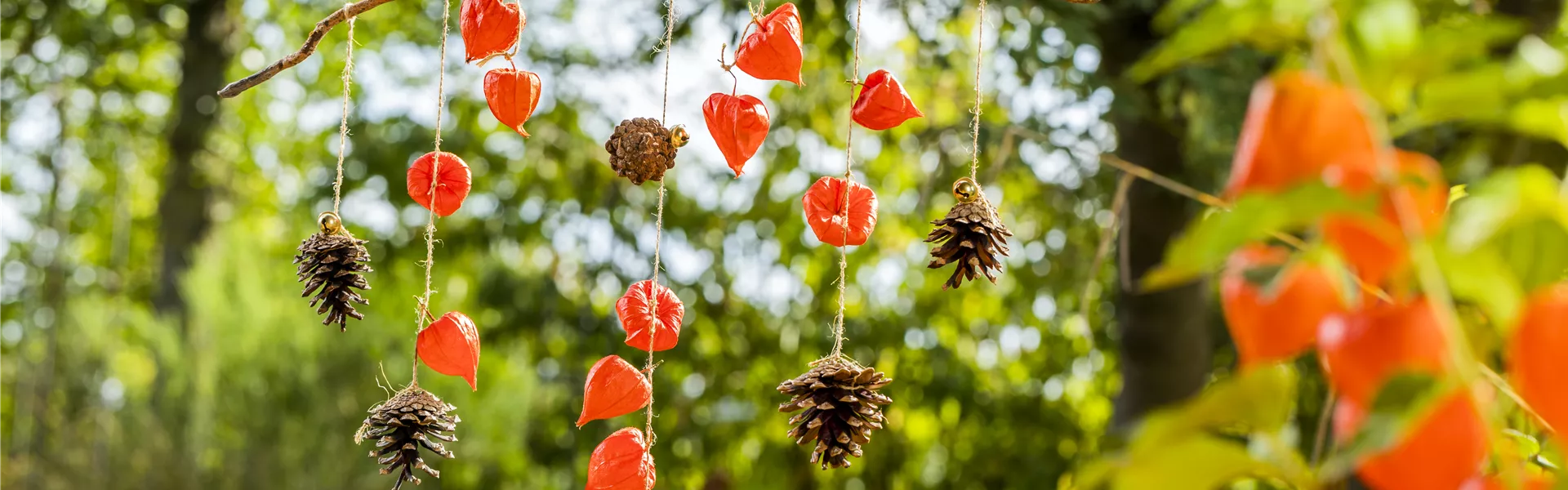 GS590691.jpg GS590691.jpg