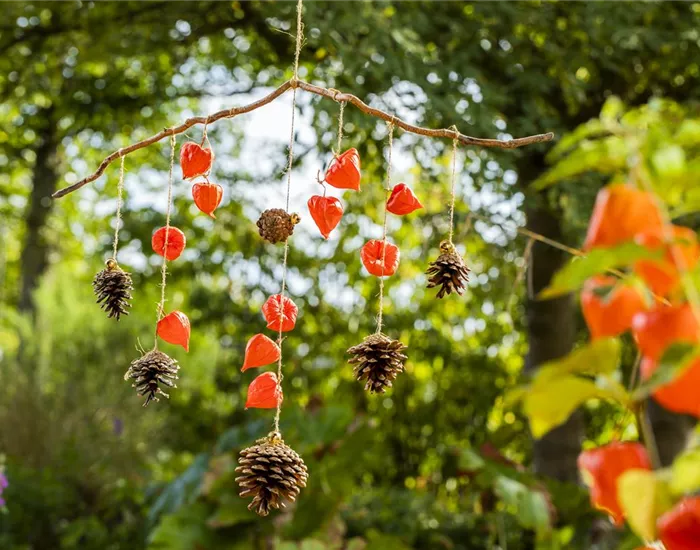 Ein herbstliches Windspiel aus Physalis und Tannenzapfen