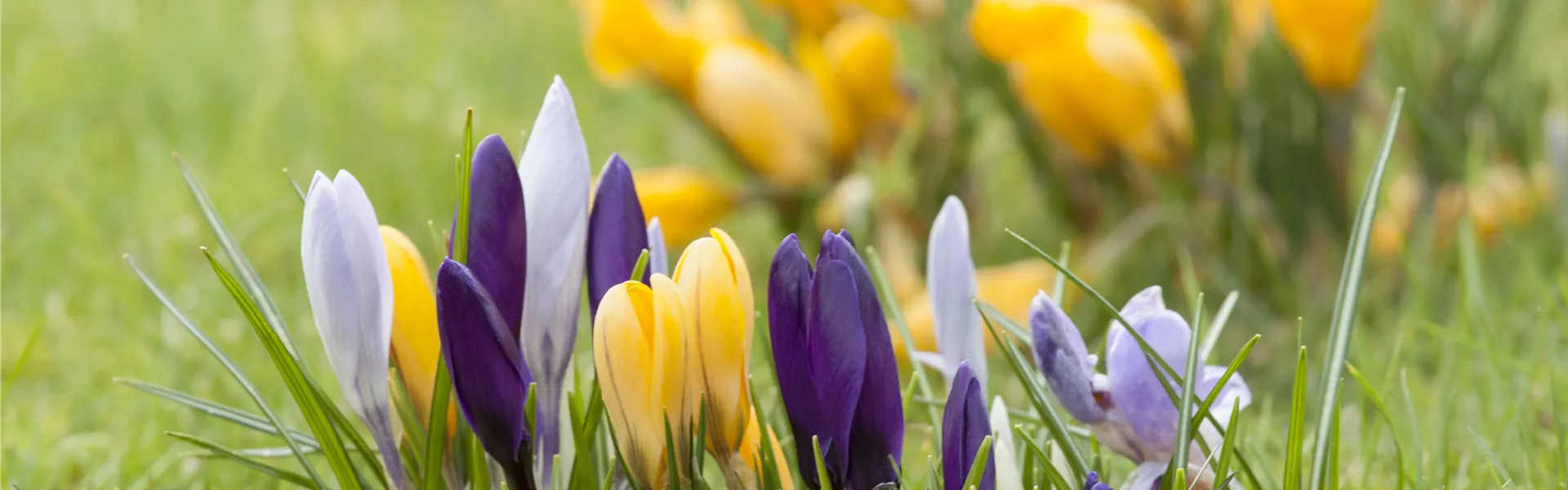 GS472392.jpg GS472392.jpg