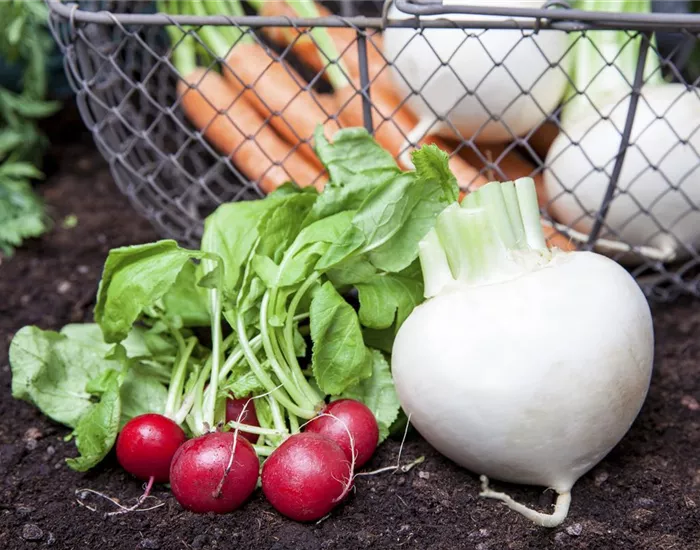 Erntegut haltbar machen