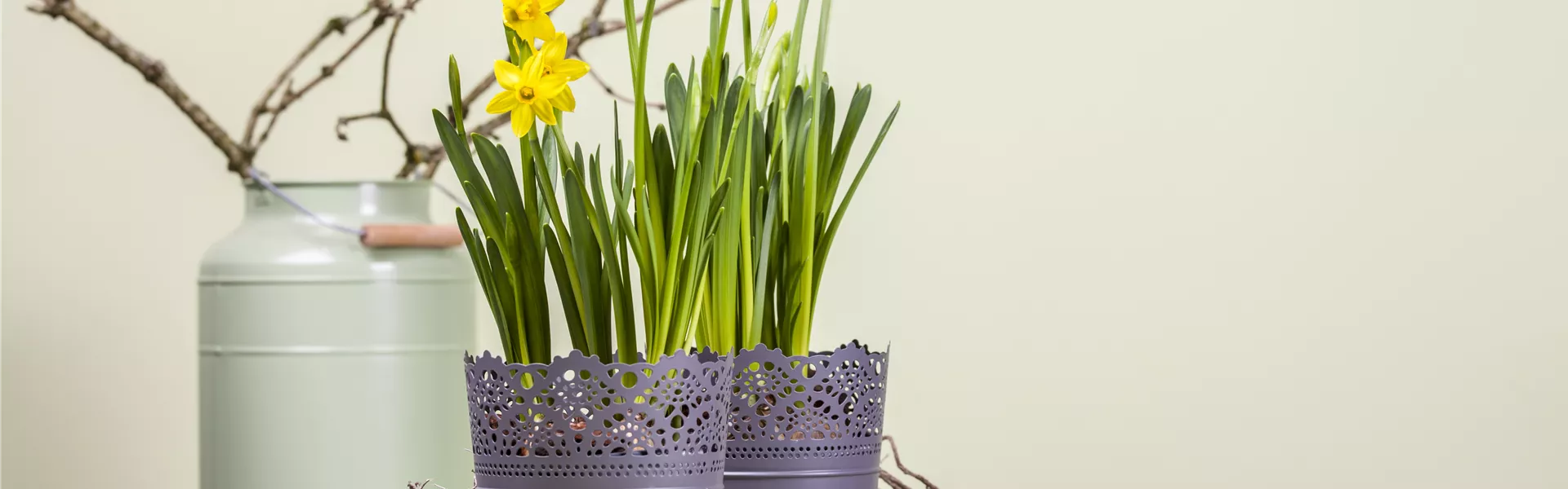 GS469978.jpg GS469978.jpg