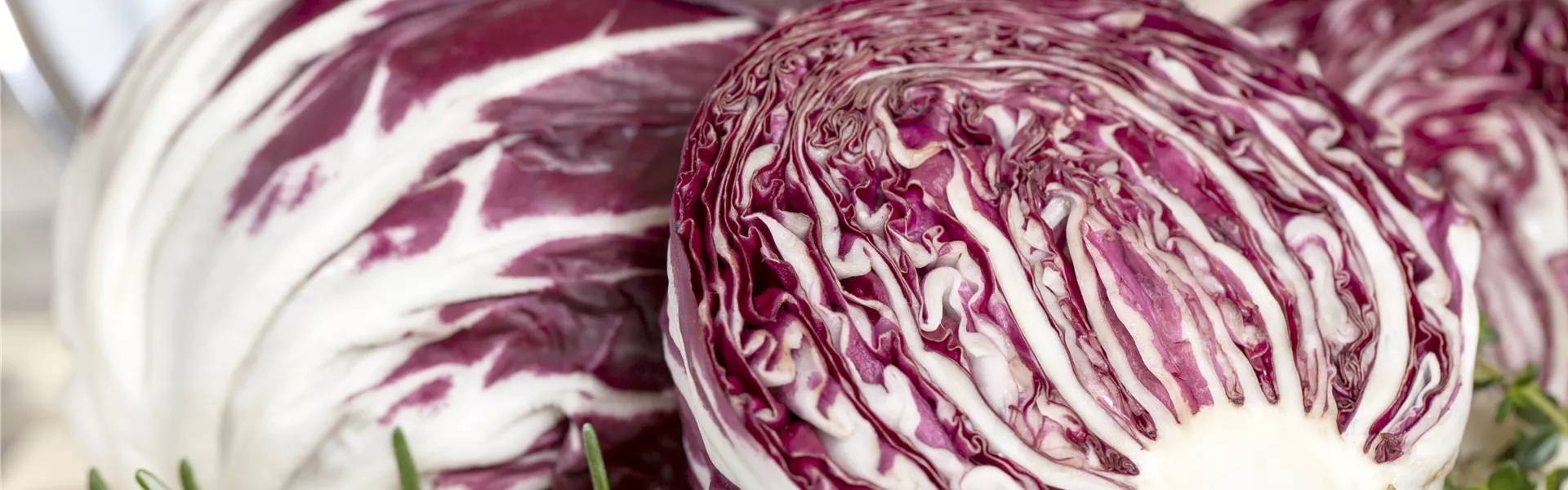 GS457358.jpg GS457358.jpg