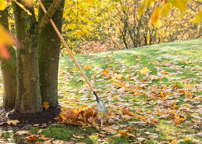 Garten- & Baumpflege