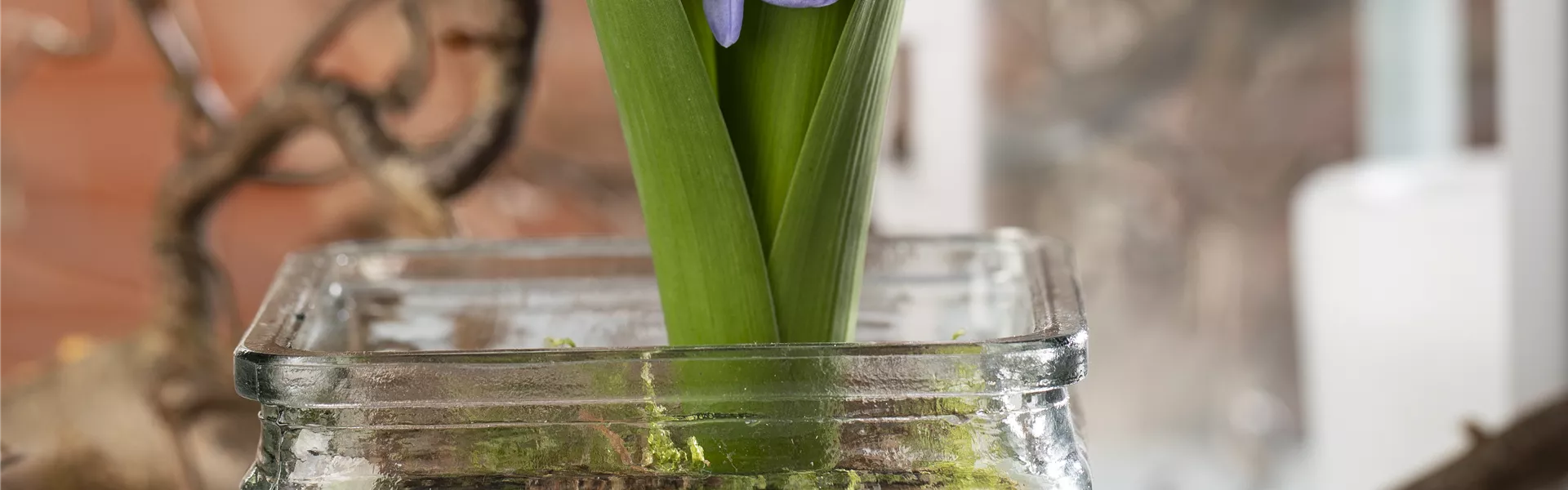 GS603795.jpg GS603795.jpg