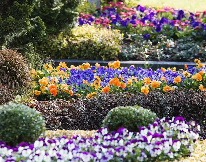 Das Grab im Lauf der Jahreszeiten