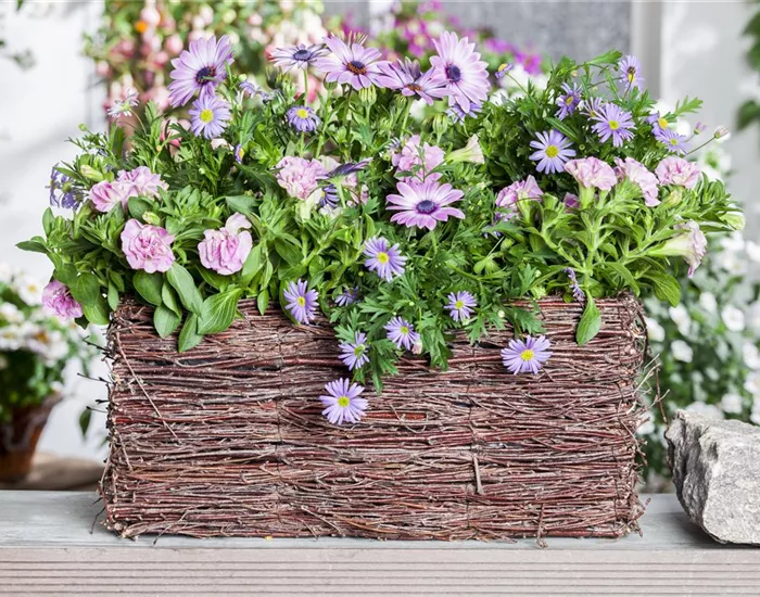 Frühling, Sommer, Herbst, Winter: der Balkon ist immer ein schöner Anblick