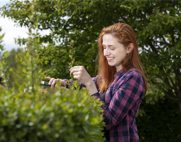 Diese Arbeiten sind jetzt im Garten noch nötig