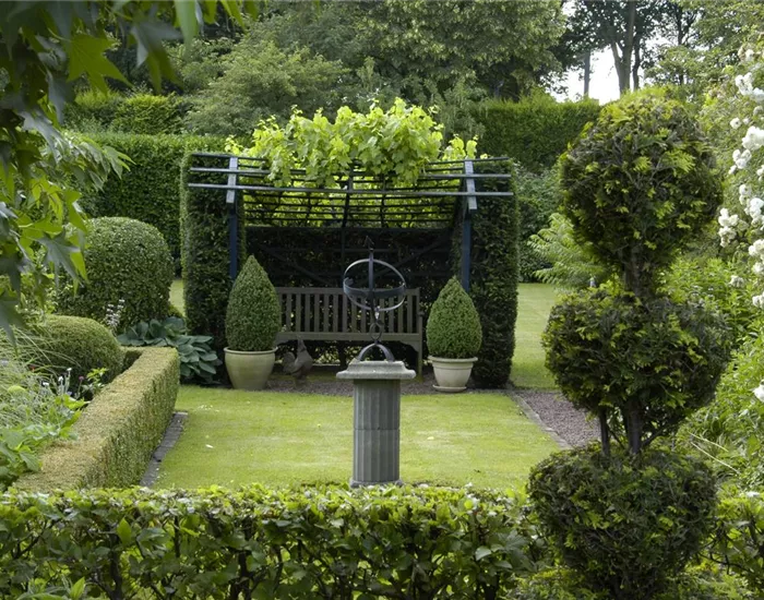 Auf die Form gekommen – Formgehölze im Garten