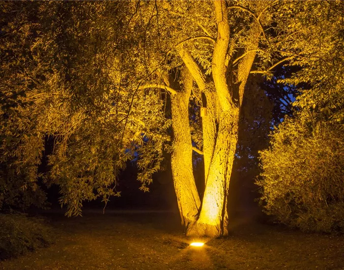Weihnachts-Lichter-Gärten Weihnachts-Lichter-Gärten
