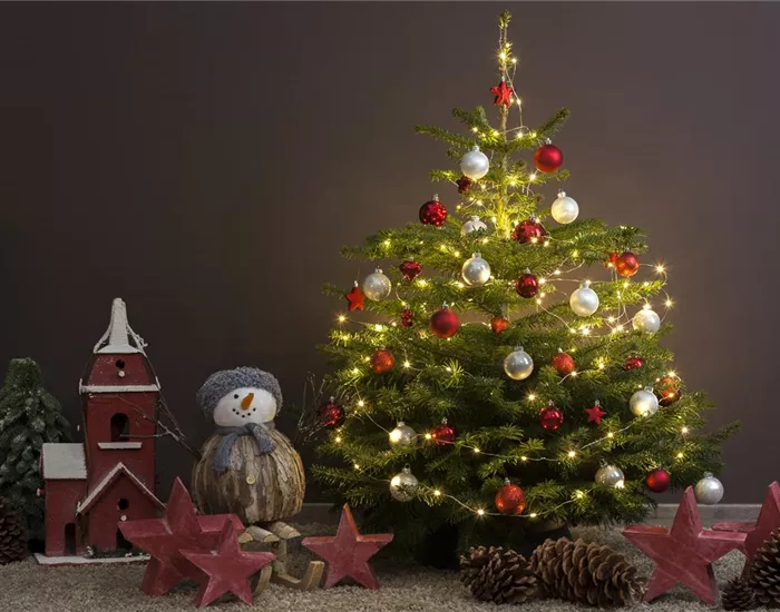 Tradition des Weihnachtsbaums