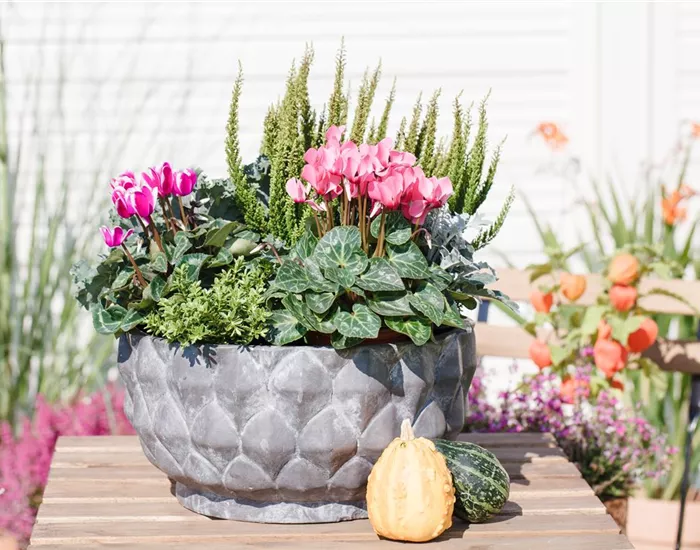 Aus alt mach neu: Blumenkübel nicht wegwerfen!