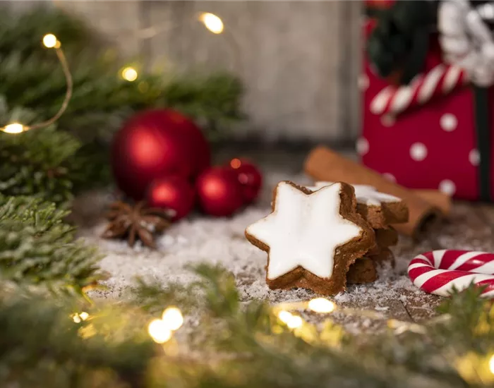 Grüne Kugeln – die etwas andere Weihnachtsdeko