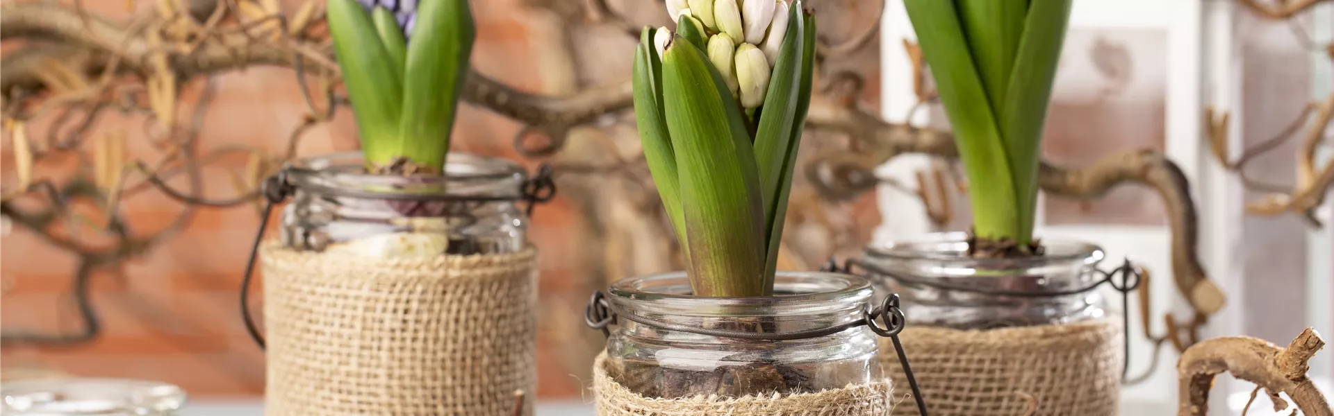 GS603806.jpg GS603806.jpg