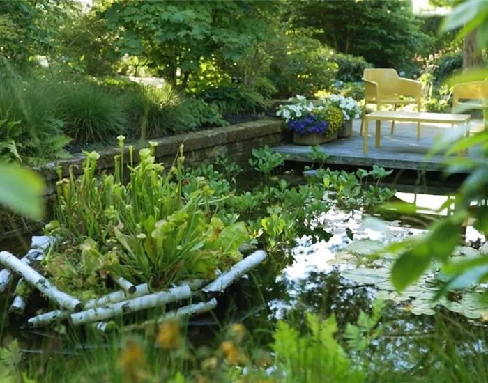 Gartengestaltung - Waldgarten