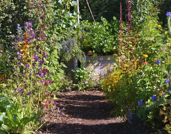 Gartengestaltung - Bauerngarten