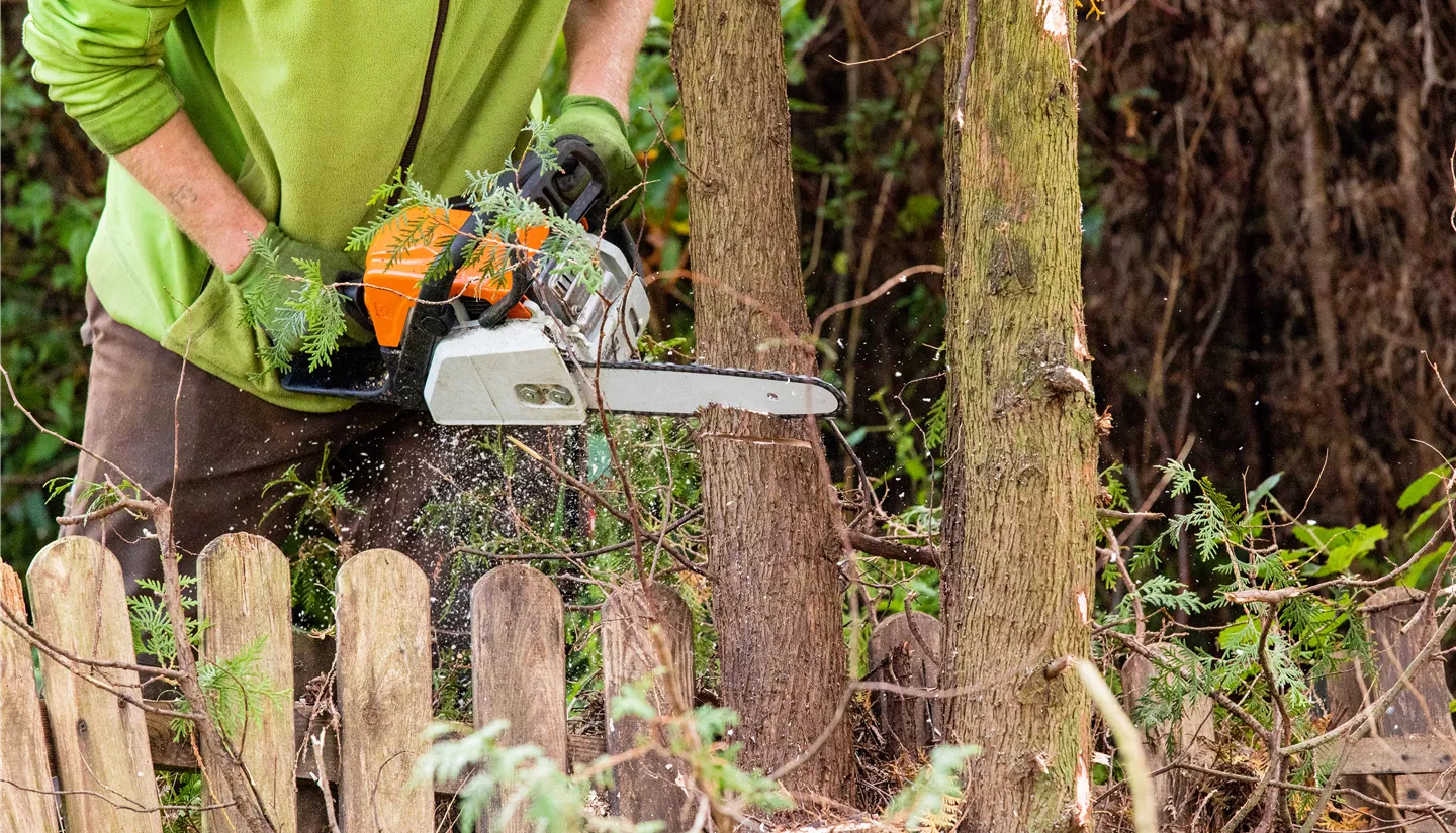 GS699150.jpg GS699150.jpg