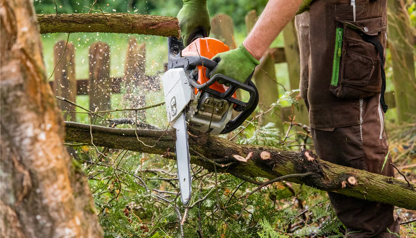 GS699147.jpg GS699147.jpg