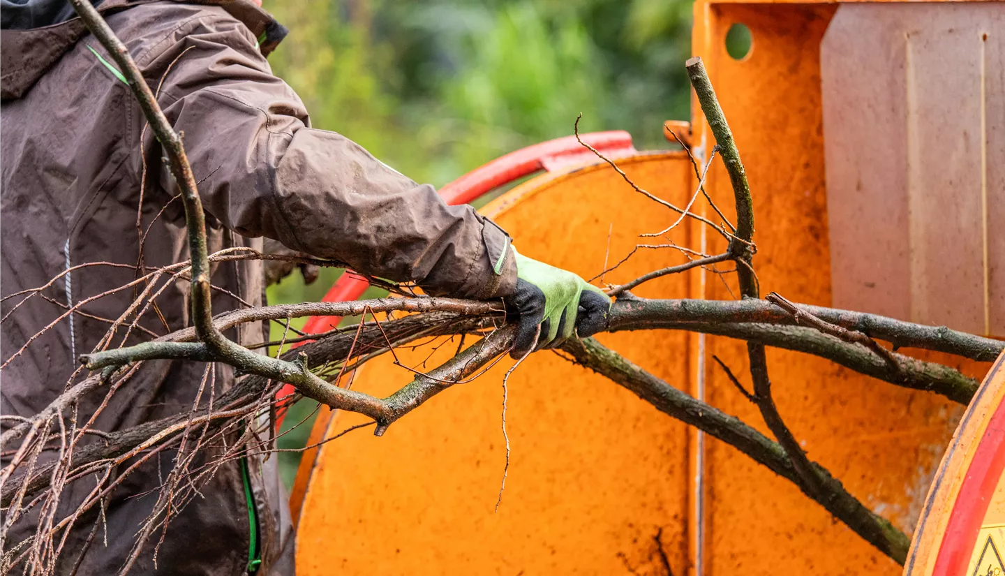 GS699117.jpg GS699117.jpg