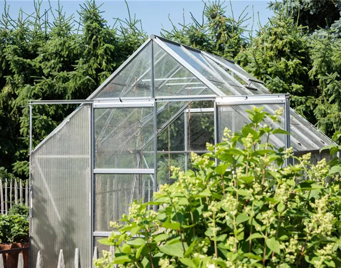 Ein Gewächshaus anlegen
