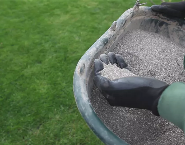 Rasen - Schnitt und Pflege