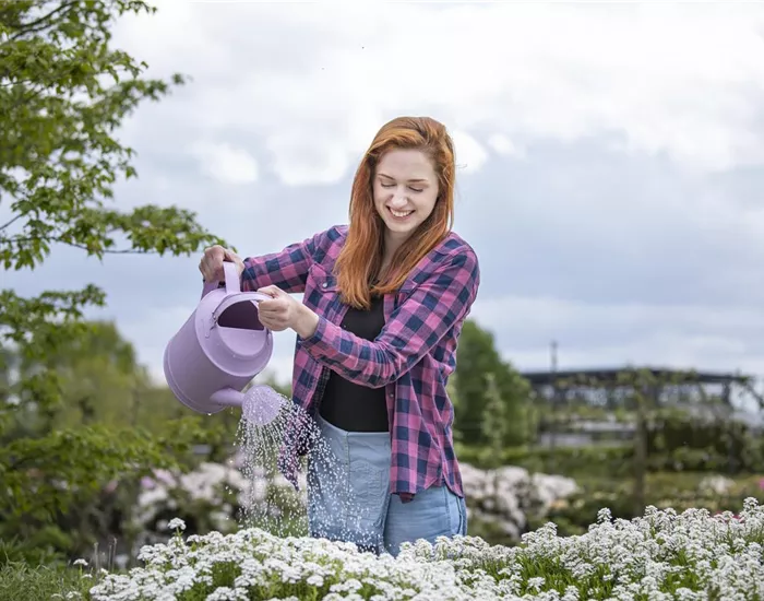 Frühling ist Pflanzzeit – ab in den Garten! Frühling ist Pflanzzeit – ab in den Garten!