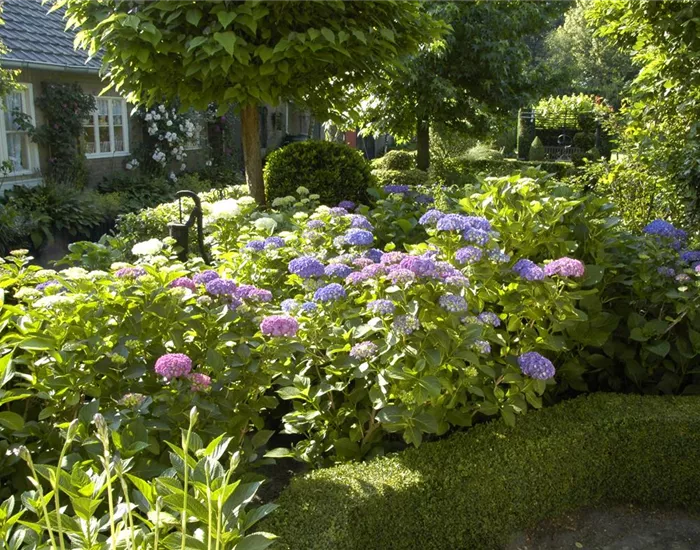 Bäume und Sträucher im Frühjahr – es müssen nicht immer Blumen sein